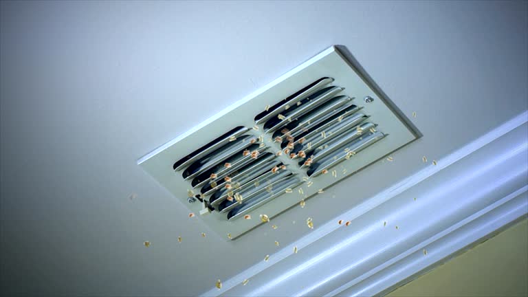 Best Air Duct Cleaning Near Me  in Wollochet, WA